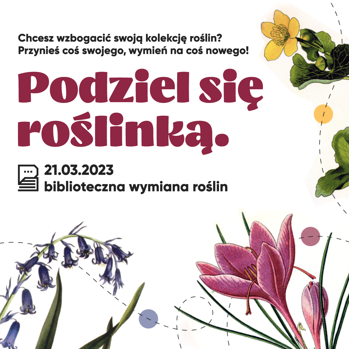 Przyjdź 21 marca do żorskiej biblioteki i podziel się roślinką