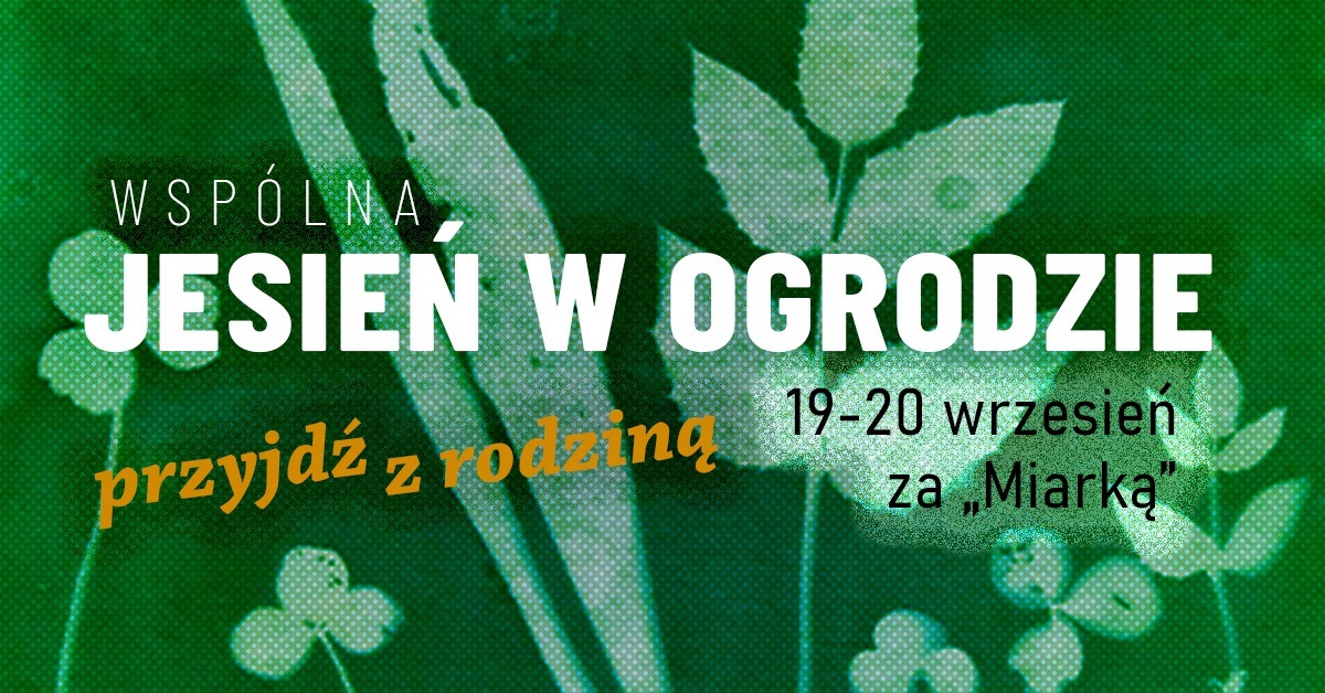 Jesień w Ogrodzie Społecznym