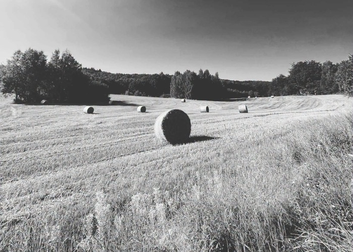 Na Luzie - 28.08.2026