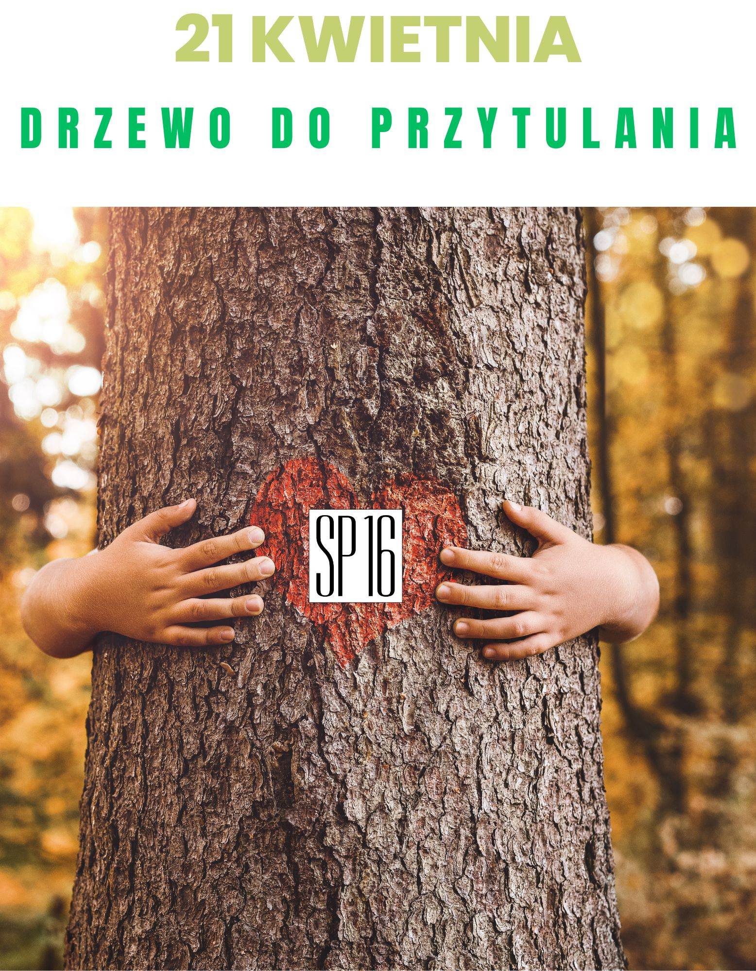 "Drzewa do przytulania" - finał projektu w Szkole Podstawowej nr 16 w Żorach