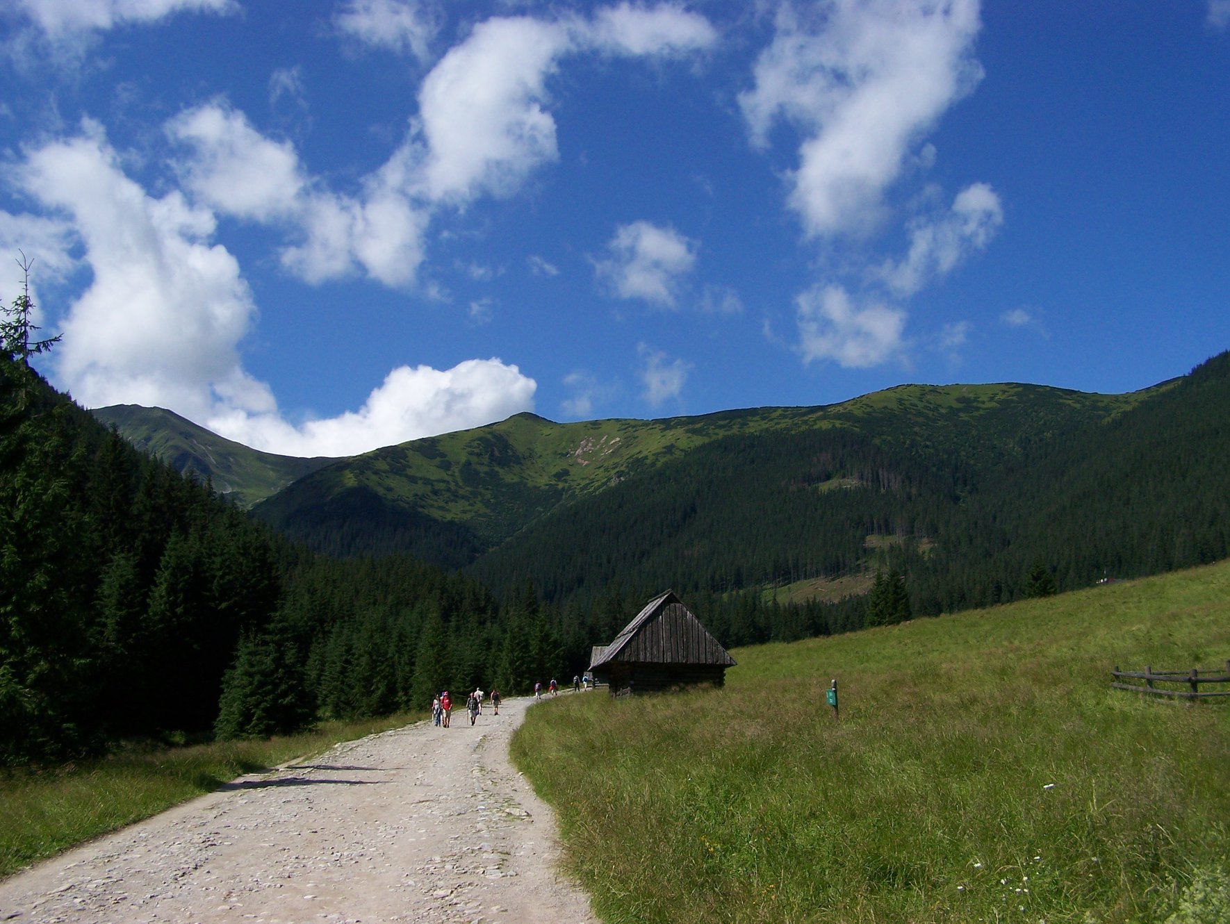 Szalony Wierch #50 - Tatry Zachodnie