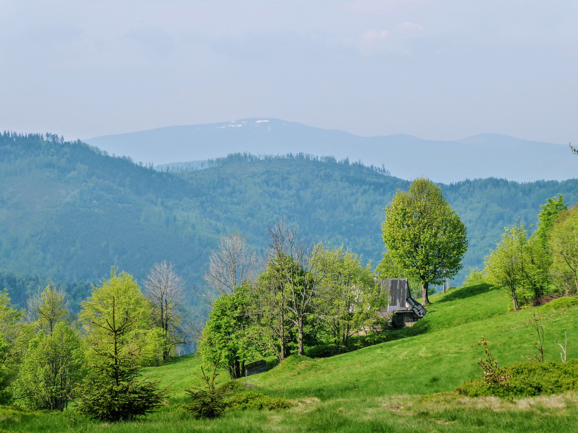 Szalony Wierch #61 - Beskid Żywiecki raz jeszcze