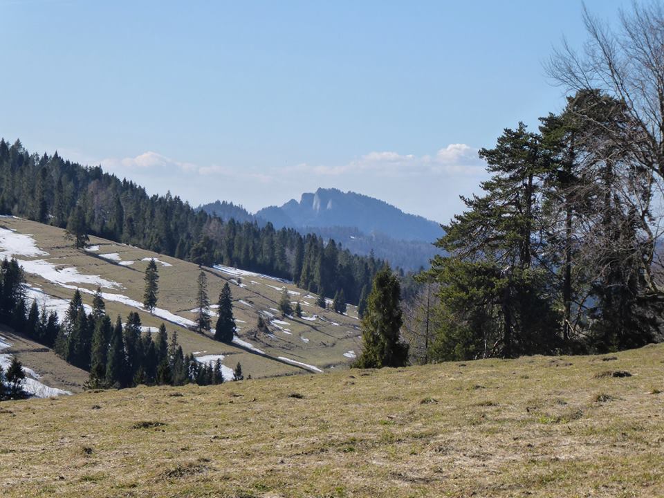 Szalony Wierch #48 - Pieniny