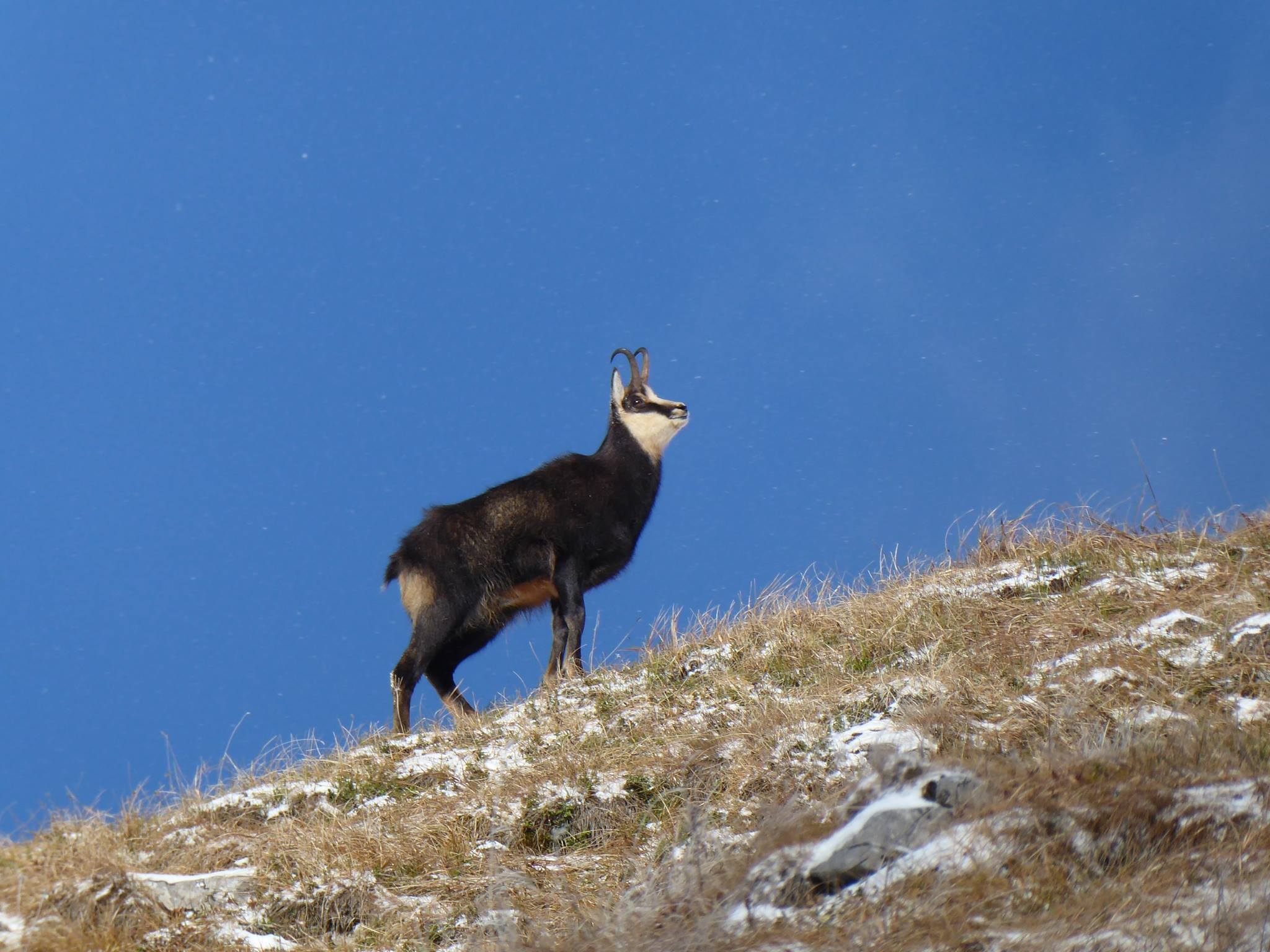Szalony Wierch #8 - Tatry
