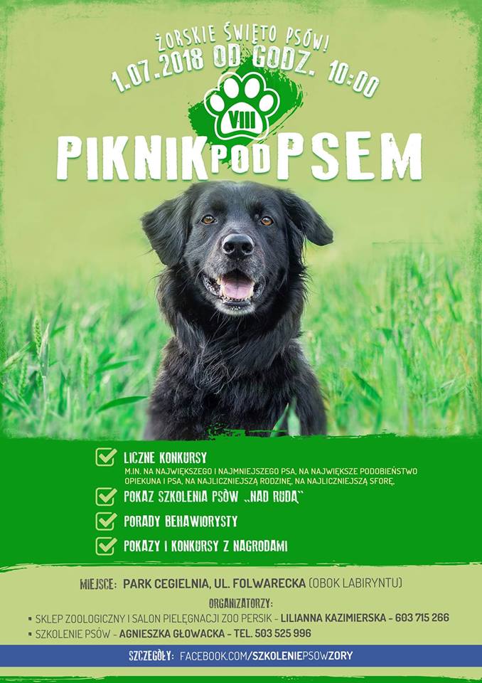 Z pasji utkane #28 - VIII Piknik Pod Psem
