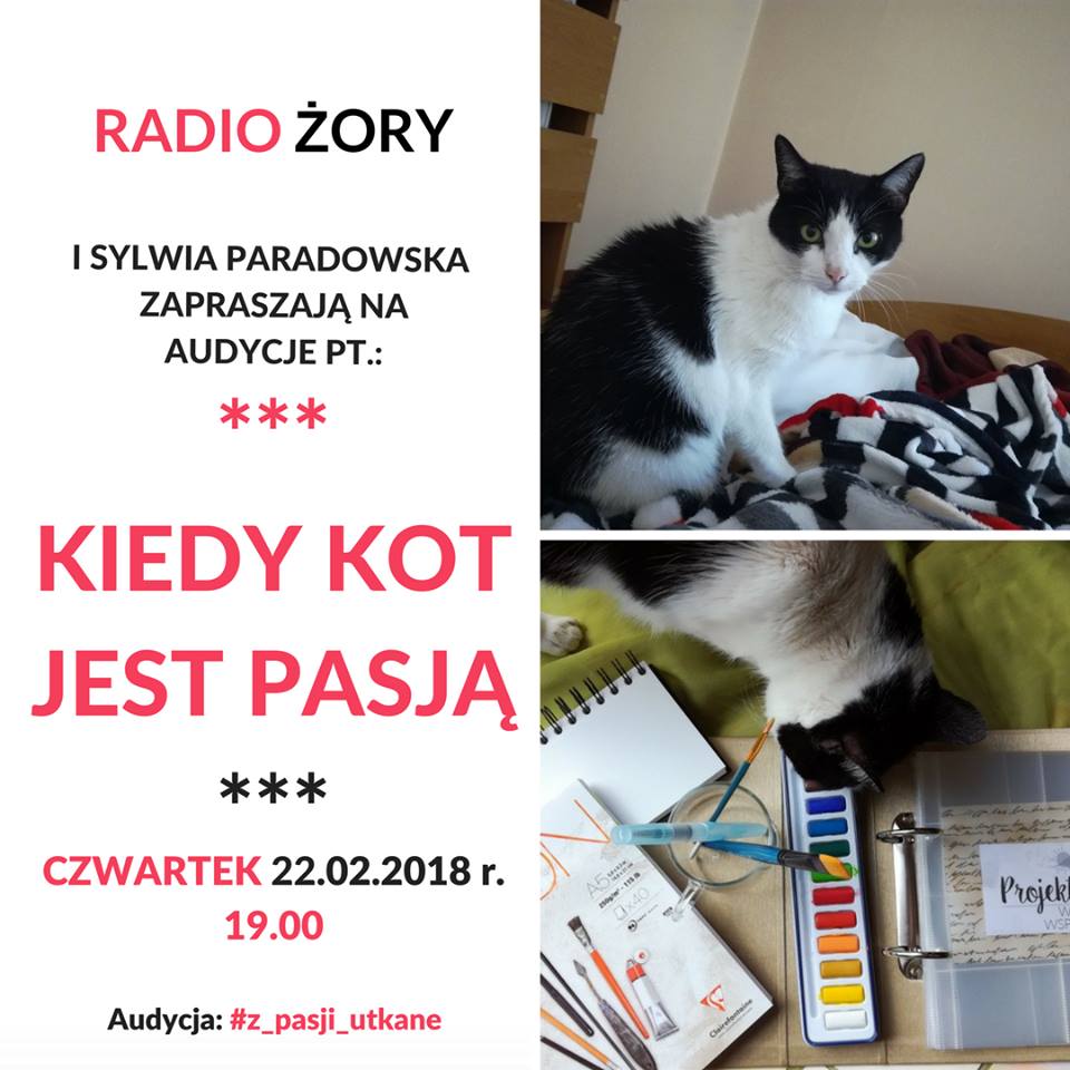 Z pasji utkane #19 - kiedy kot jest pasją